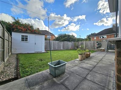 Picture 16